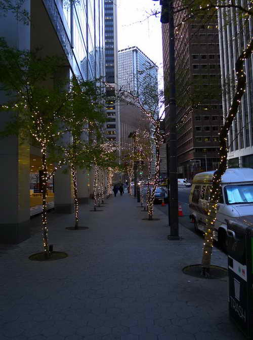 NYC_2017-11-20 07-03-52_P1130985